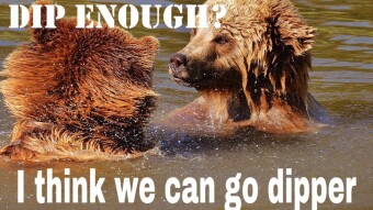 Why I prefer A Bear Market