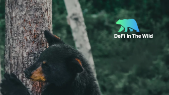 Black Bear Finance – Incentivizing Sustainable Conservation through DeFi and Play-to-Earn Gaming