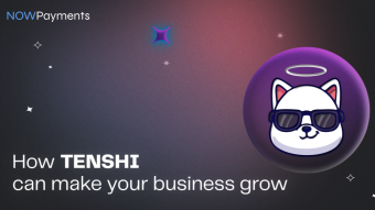 Ways Tenshi crypto can make your business grow