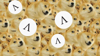 $AMPL Can Mimic $DOGE Price Pattern (to a degree)