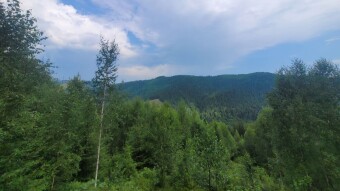 The difference between Alps and Carpathians