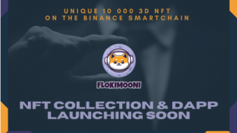 FlokiMooni's Ecosystem is Heating Up: NFT Collection Launching Soon