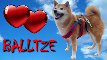 The Crypto Community Mourns The Loss Of Balltze, The Shiba Inu Behind The Viral Memes.