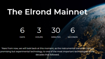 How Elrond Works: Will It Be The Future Of Crypto?