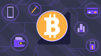 A Guide to Bitcoin: History, Principles of Work, Legal Status, and Concerns