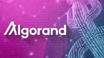 Algorand Faucets 