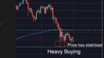 Whales influence crypto investors to panic sell so they can buy cryptos at a discount