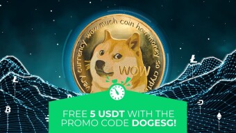 Don’t drop the ball on DOGE: why the profit potential of the meme crypto has never been higher