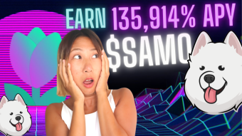 🔴 EARN $SAMO !! + Leverage Yield Farm on Solana TULIP GARDEN