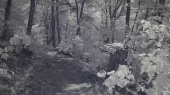 Pinhoti Trail Part 1 - Infrared glidecam video
