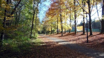 Return to the park, a few changes in the weather and tree stand, and in general, autumn is still defending ;) - My Actifit Report Card: October 20 2022