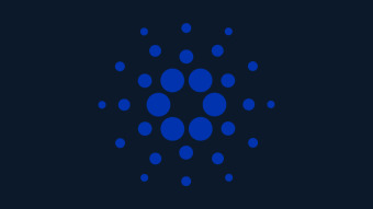 Cardano Review 2024 Edition - Why It's Still My No. 1 Favourite Blockchain