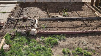 Quick Garden Update