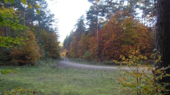 Last camping in a tent this year? Or maybe not yet ?! - My Actifit Report Card: October 19 2022