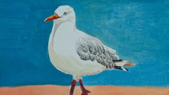 Gray Seagull (acrylic painting)