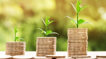 Top 3 yield optimizers on Binance Smart Chain (BSC)