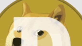 XRP and Doge lesson learnt and how I could have become a millionaire.