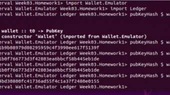 Creation Of A Haskell Module To Manipulate With Cardano Addresses - Adamakerspace Bounty