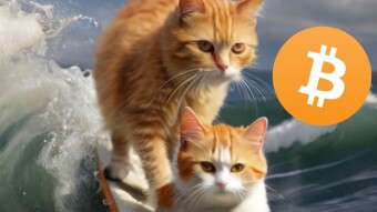 If You Want to Get Rid of Cryptos, Say They Have Rabies