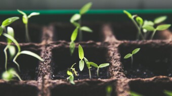 Block.one & Cryptology Asset Group Lead $7.5M Seed Investment in Chintai