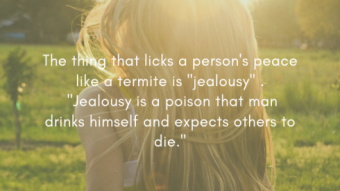 The thing that licks a person's peace like a termite is "jealousy"