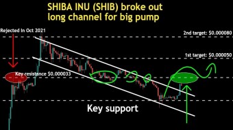 SHIBA INU (SHIB) broke out long channel for big pump