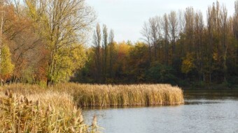 Warm October days must be used, but without exaggeration- My Actifit Report Card: October 23 2022