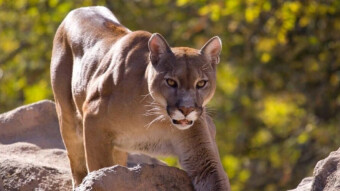 Bitcoin Steepens Up, Risk On Tumbles, Macro Charts, Trading, Investing - 7/14