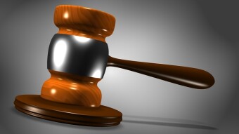 Acala Network burns mis-minted USD coins & Crypto YouTubers take fight to court