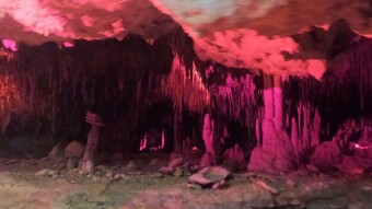 Cenote's in Yucatán Peninsula Mexico
