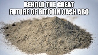Bitcoin Cash ABC (BCHA) turned to dust but not dead yet!