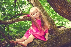 On the healing properties of trees
