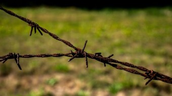 First Country That Nearly Paid Its International Debt, The Perfect Example of Economical Wreckage