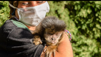 Save Argentinian Animal Sanctuary impacted by COVID-19