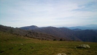 my paradise