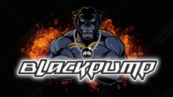 Blackpump.fun: A Groundbreaking Launch That Took the Platform to Its Limits 🚀