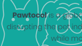 Pawtocol Launches its First IEO on the ProBit Exchange