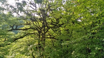 How to Revive A Lost Friendship | Embracing Nature Might Help!