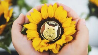 Shiba Inu Coin – Move Back to $0.000035 Needed to Avoid Pullback