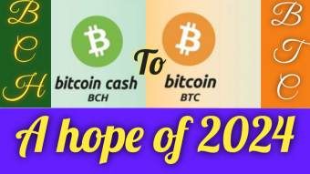 A Journey Of New Plans Start From Bitcoin Cash To Bitcoin