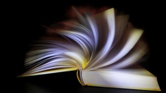 Why Do Neurodivergent People Have Quirky Special Interests?