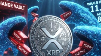 WHALE SURGE: XRP LARGE-HOLDER BALANCES HIT RECORD 11.33 BILLION TOKENS AMID PRICE STAGNATION