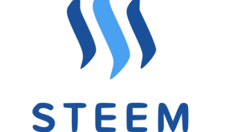 The Steem Life: Strategic Spamming and Learning