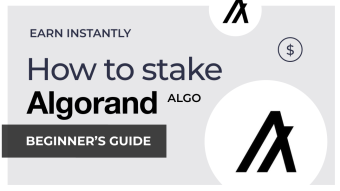 Algorand (ALGO) Staking Guide