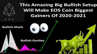 This Amazing Big Bullish Setup Will Make EOS Coin Biggest Gainers Of 2020-2021