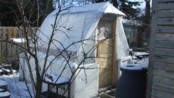 A Tour Of My New $400 8'X8' Greenhouse