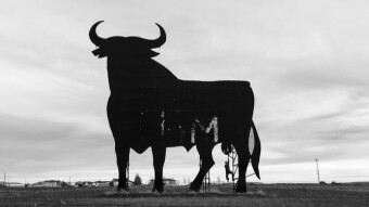 My First Base to Peak Bull Market