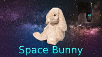 A Technological Bunny in Space