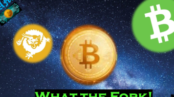 Bitcoin Triplets: What the Fork!