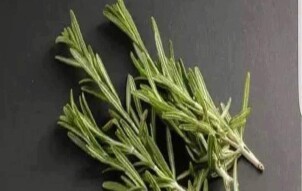 ROSEMARY: BRAIN CLEAN SWEEP 🌿